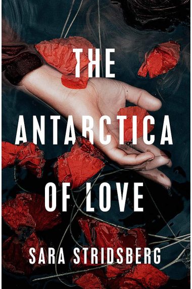 The Antarctica of Love