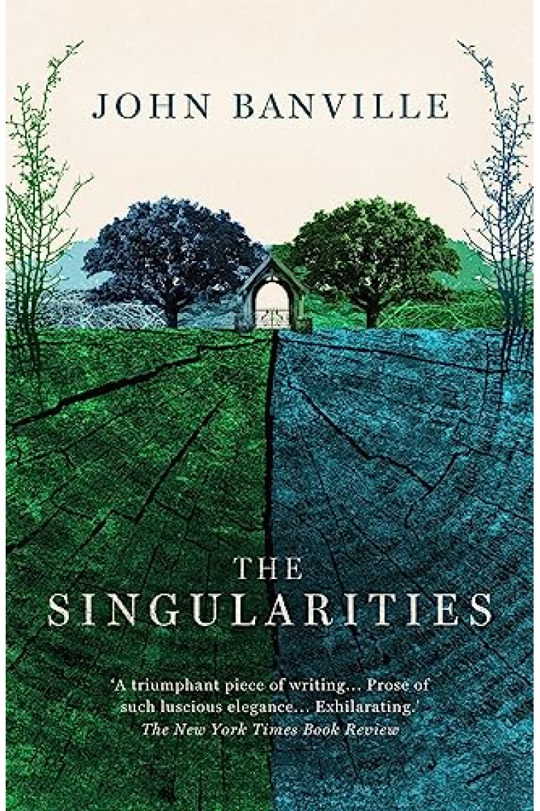 The Singularities