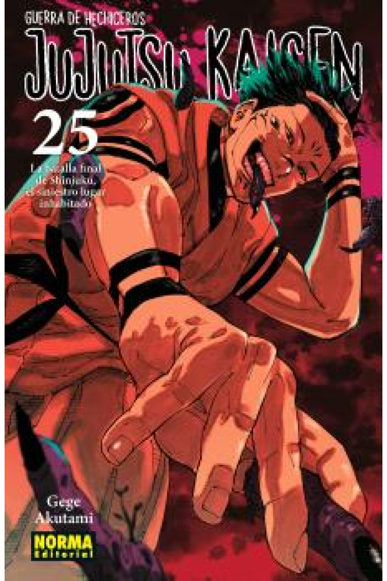 Jujutsu kaisen 25