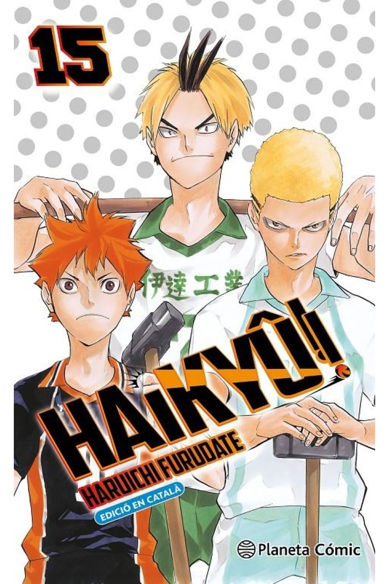 Haikyuu 15