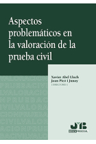 Aspectos problemáticos en la valoración de la prueba civil