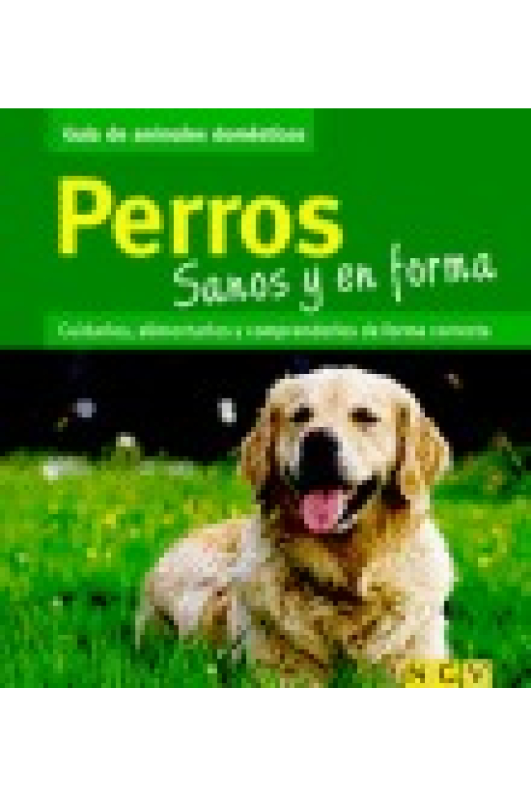 Perros sanos y en forma