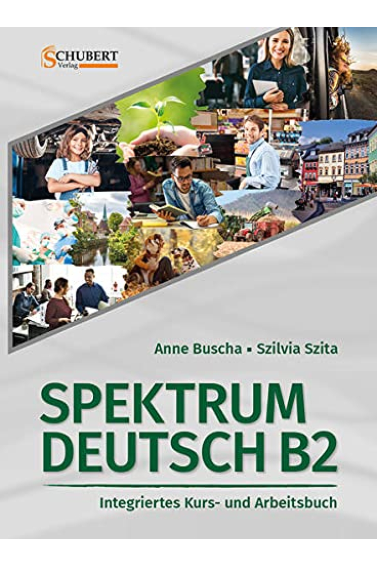 Spektrum Deutsch B2 (Kurs- und Arbeitsbuch)