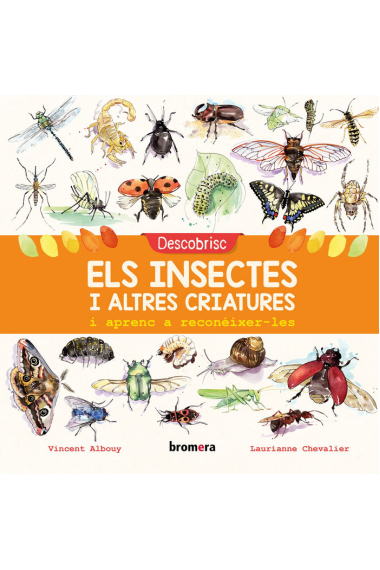 Descobrisc els insectes i altres criatures i aprenc a reconéixer-les