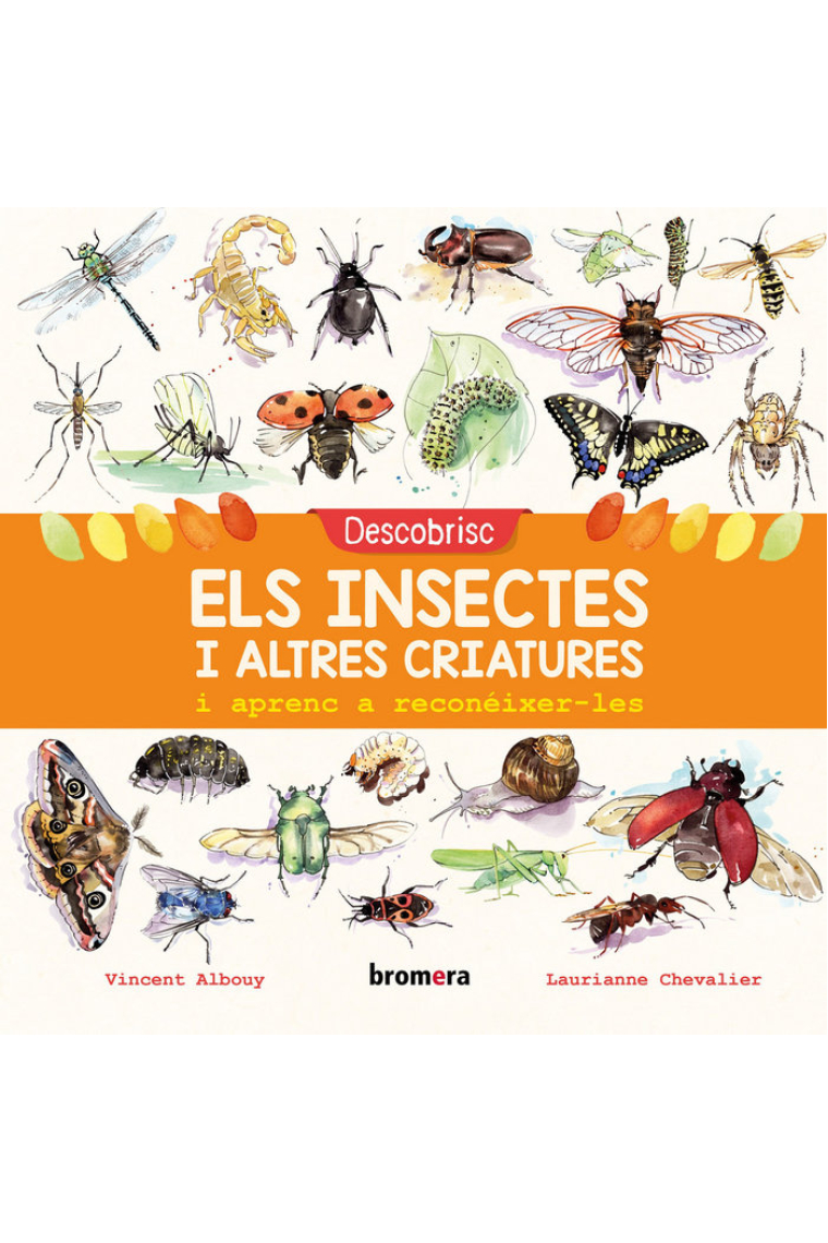 Descobrisc els insectes i altres criatures i aprenc a reconéixer-les