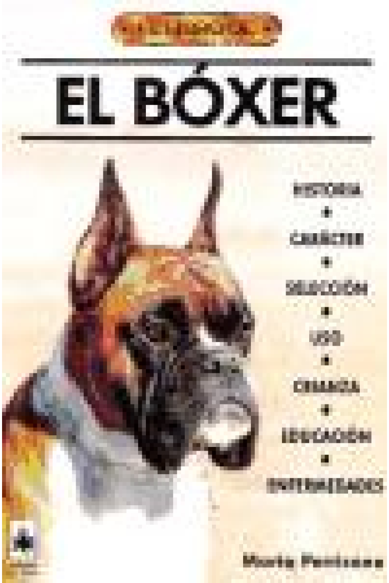 El bóxer.