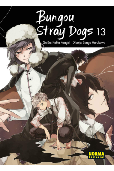 Bungou Stray Dogs 13