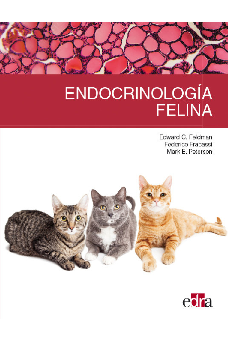 Endocrinología felina