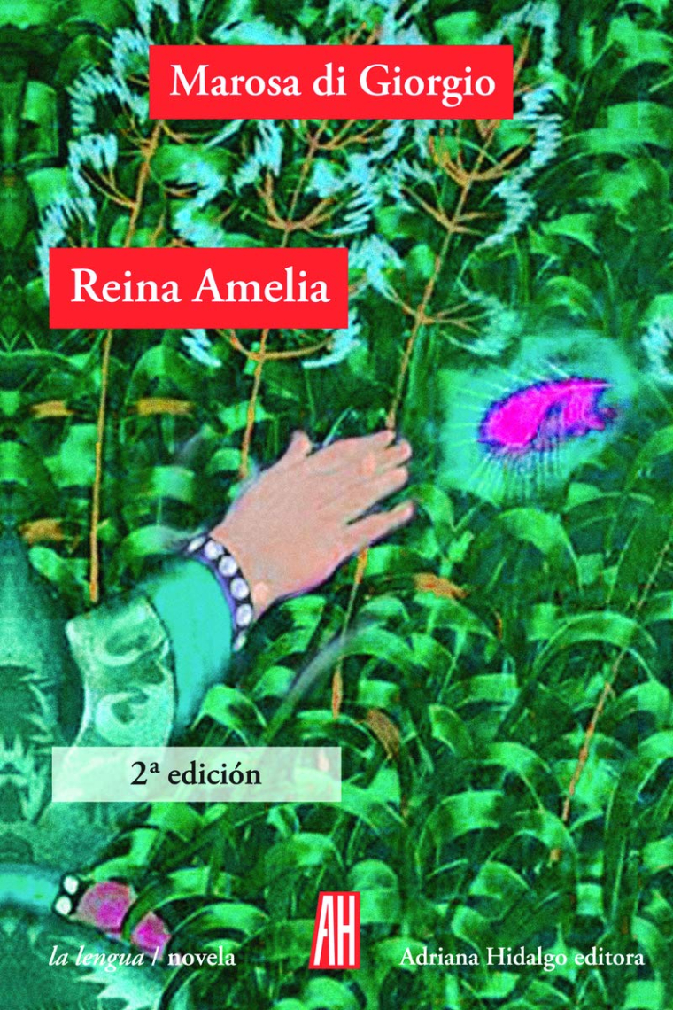 Reina amelia