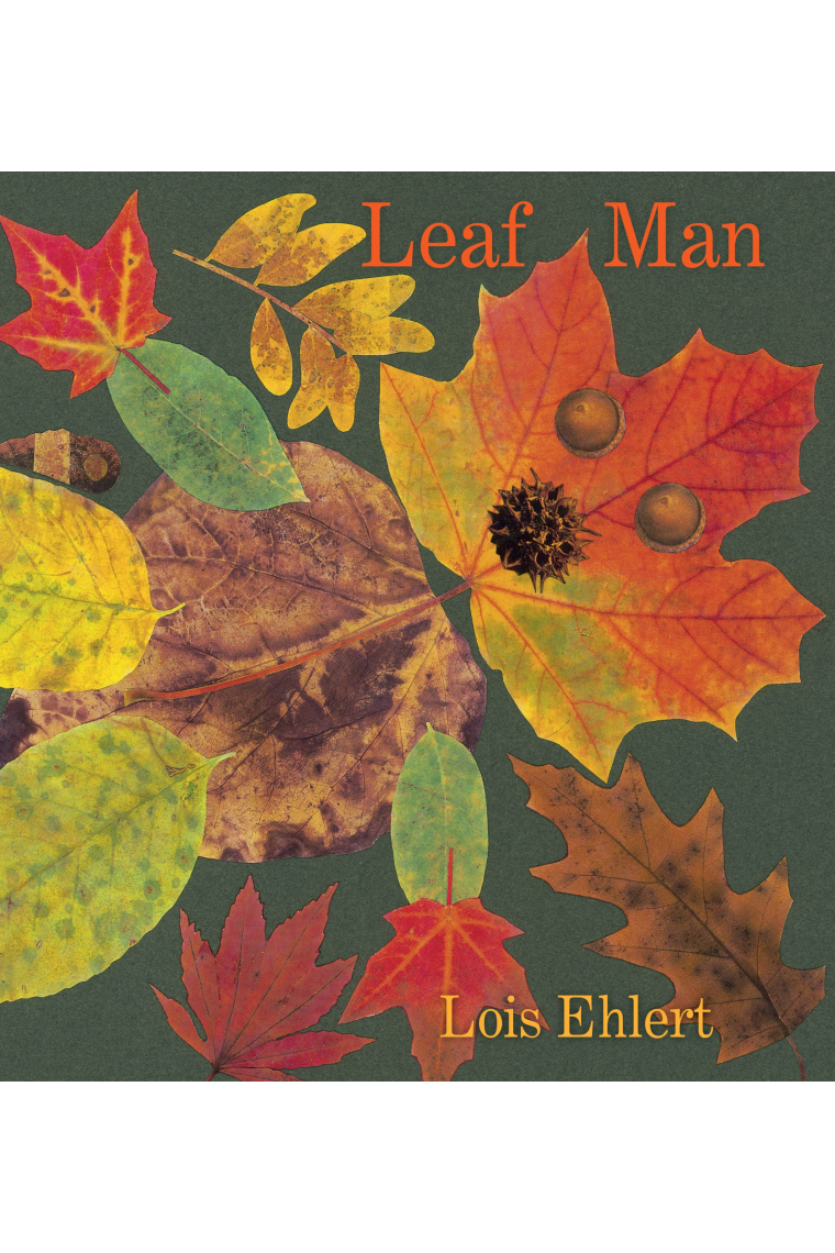 Leaf Man Board Book