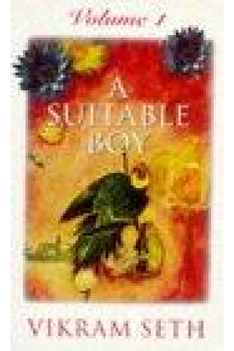 A suitable boy Vol.1