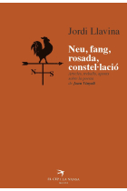 Neu, fang, rosada, constel·lació. Apunts sobre la poesia de Joan Vinyoli