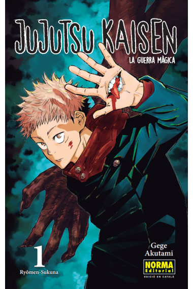 JUJUTSU KAISEN 01 CATALA