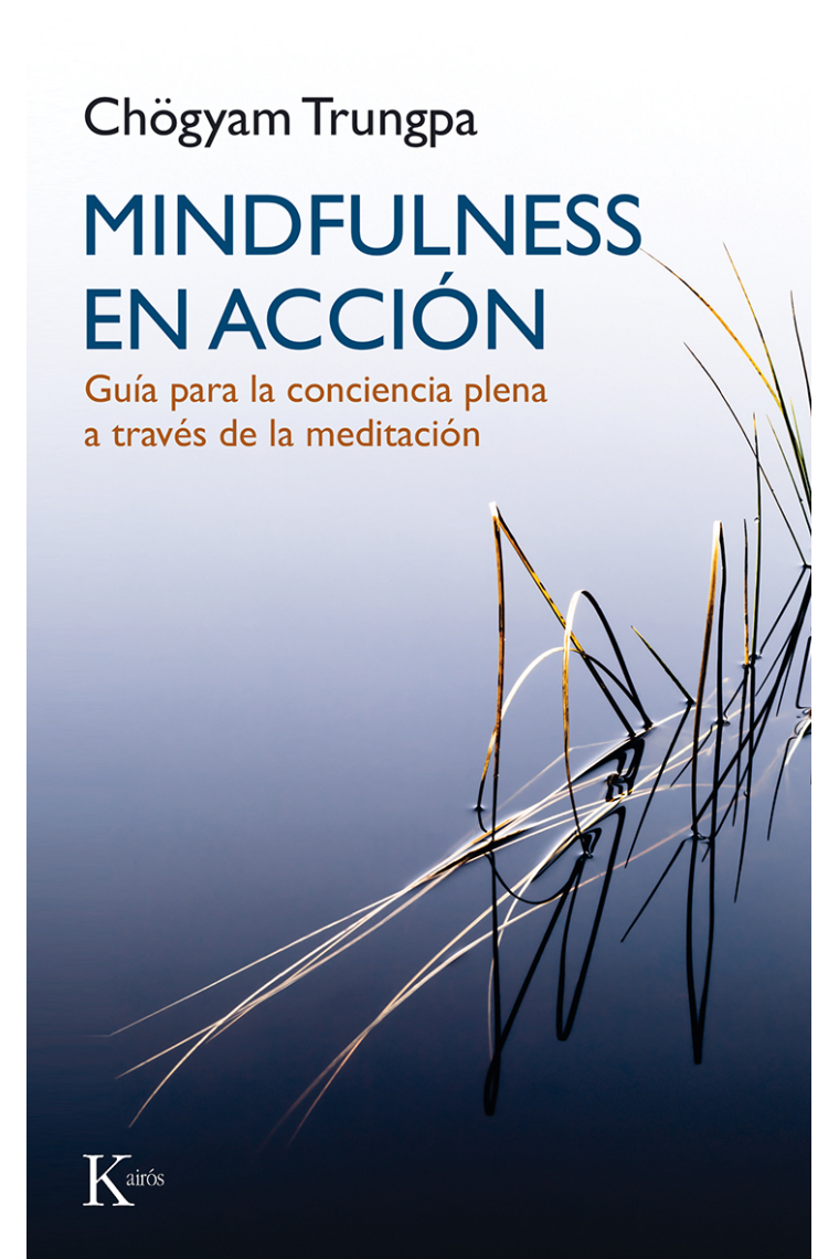 Mindfulness en acción: guía para la conciencia plena a través de la meditación