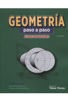 Geometría paso a paso Volumen II (Tomo I): Geometría proyectiva y Sistemas de representación