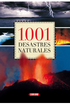 1001 Desastres Naturales