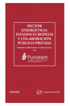 SECTOR ENERGETICO FONDOS EUROPEOS Y COLABORACION PUBLICO PR