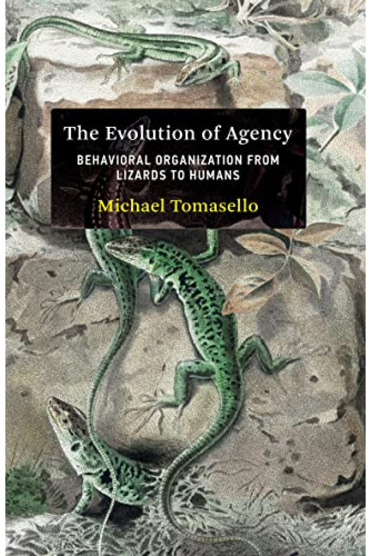 The Evolution of Agency: Behavioral Organization from Lizards to Humans