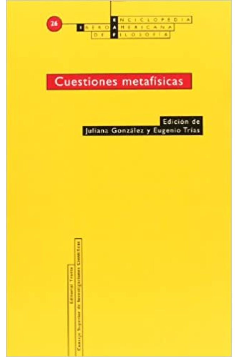 Cuestiones metafísicas