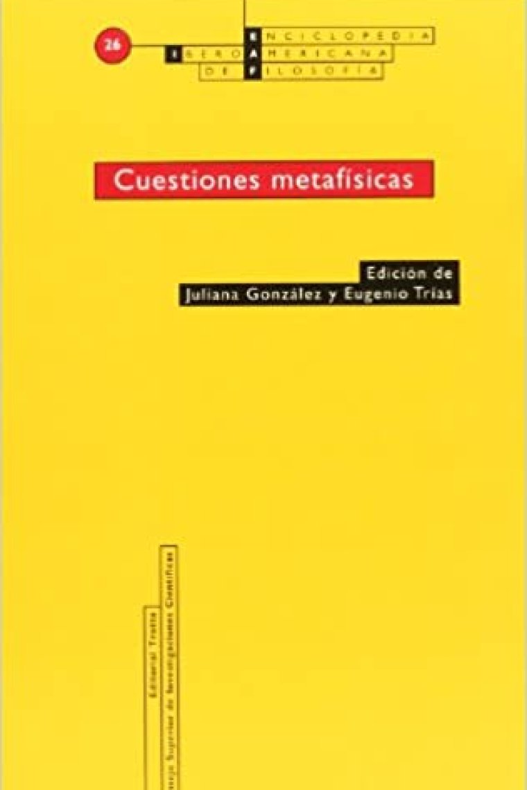 Cuestiones metafísicas