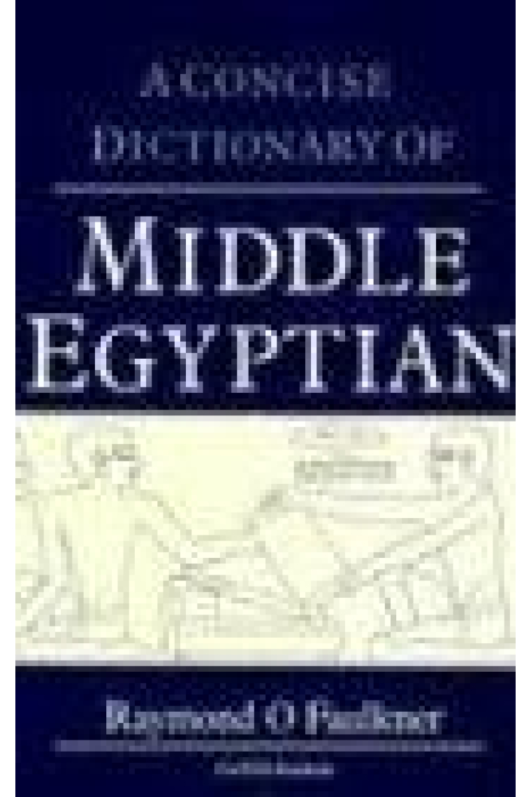 A Concise dictionary of middle egyptian