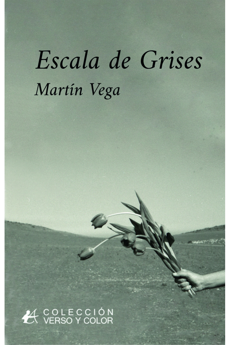 ESCALA DE GRISES