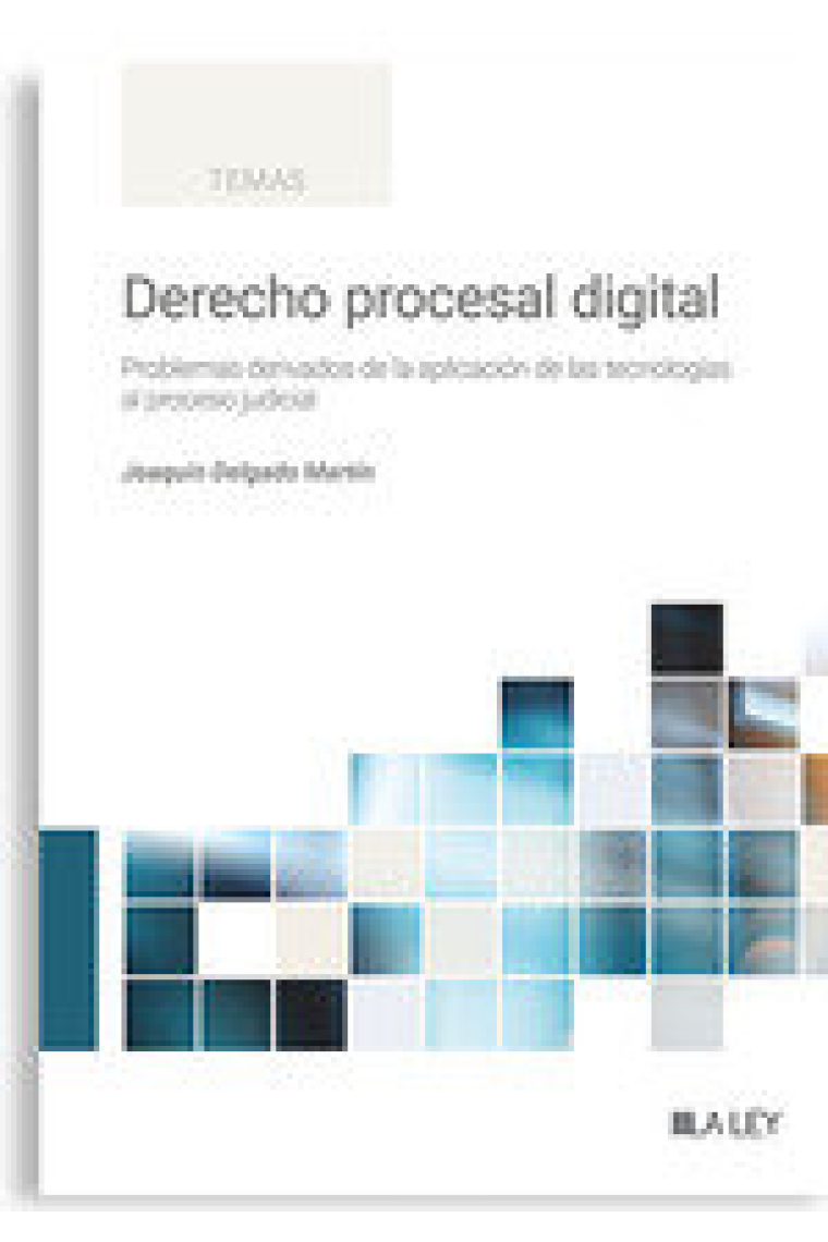 DERECHO PROCESAL DIGITAL