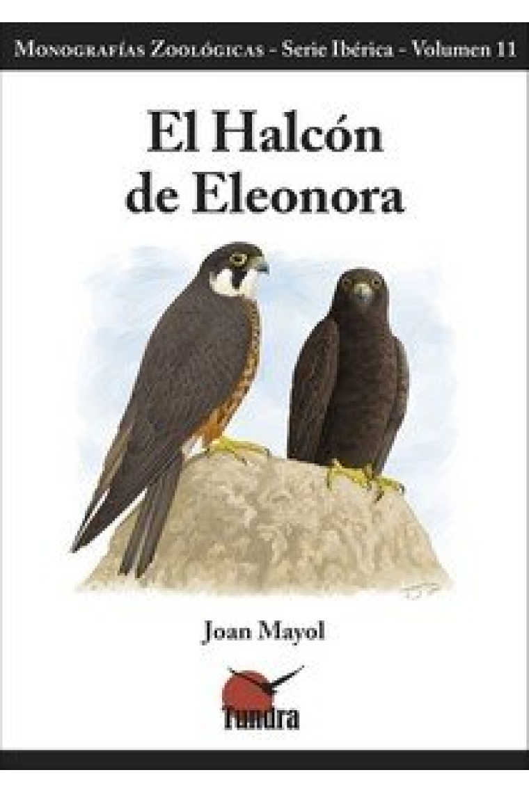 El halcón de Eleonora