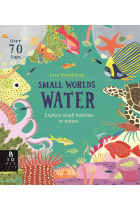 Small Worlds. Water