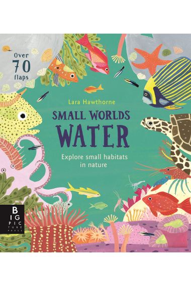 Small Worlds. Water