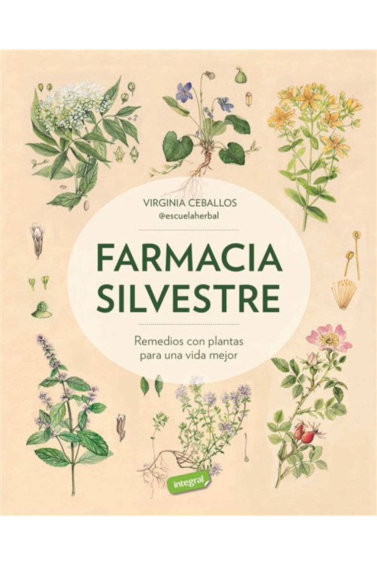 Farmacia silvestre. Remedios con plantas para una vida mejor