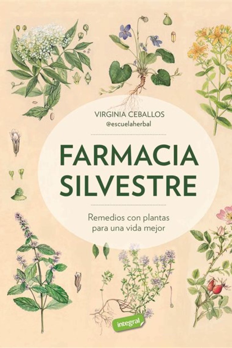 Farmacia silvestre. Remedios con plantas para una vida mejor