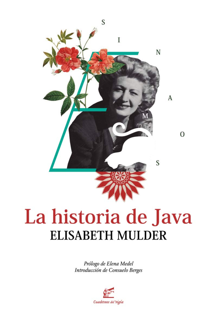 La historia de Java