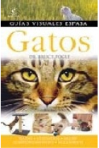 Gatos. Guías visuales espasa