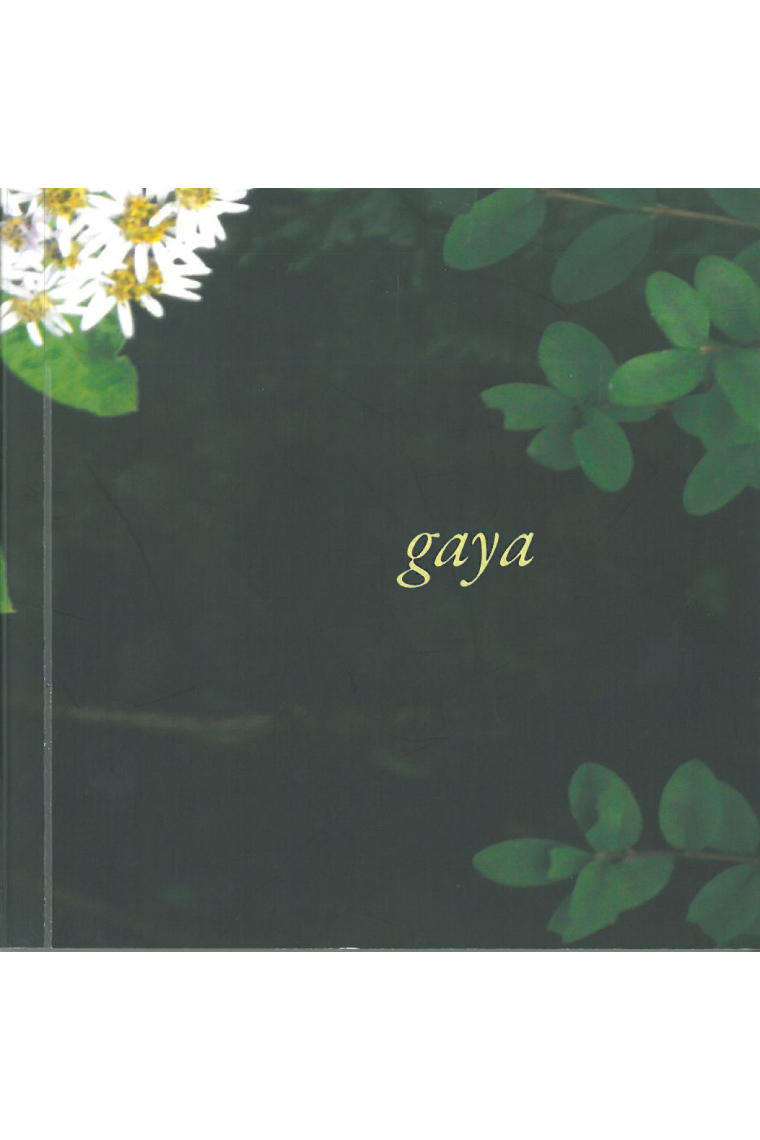 Gaya