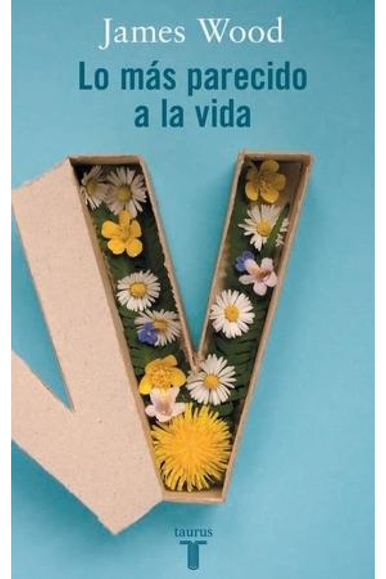 Lo más parecido a la vida: lecciones sobre nuestro amor a los libros