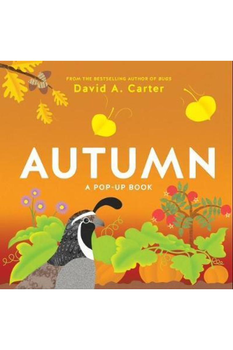 Autumn : A Pop-Up Book