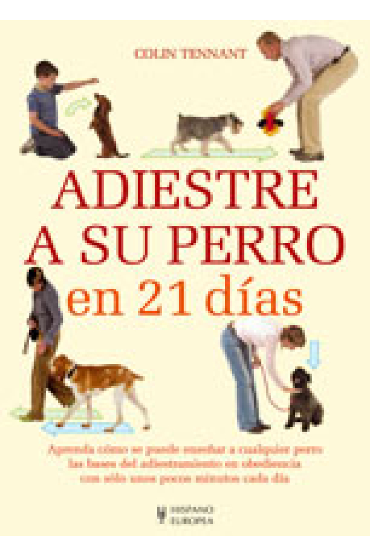 Adiestre a su perro en 21 días