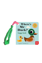 Where's Mr Duck? (Felt Flaps)