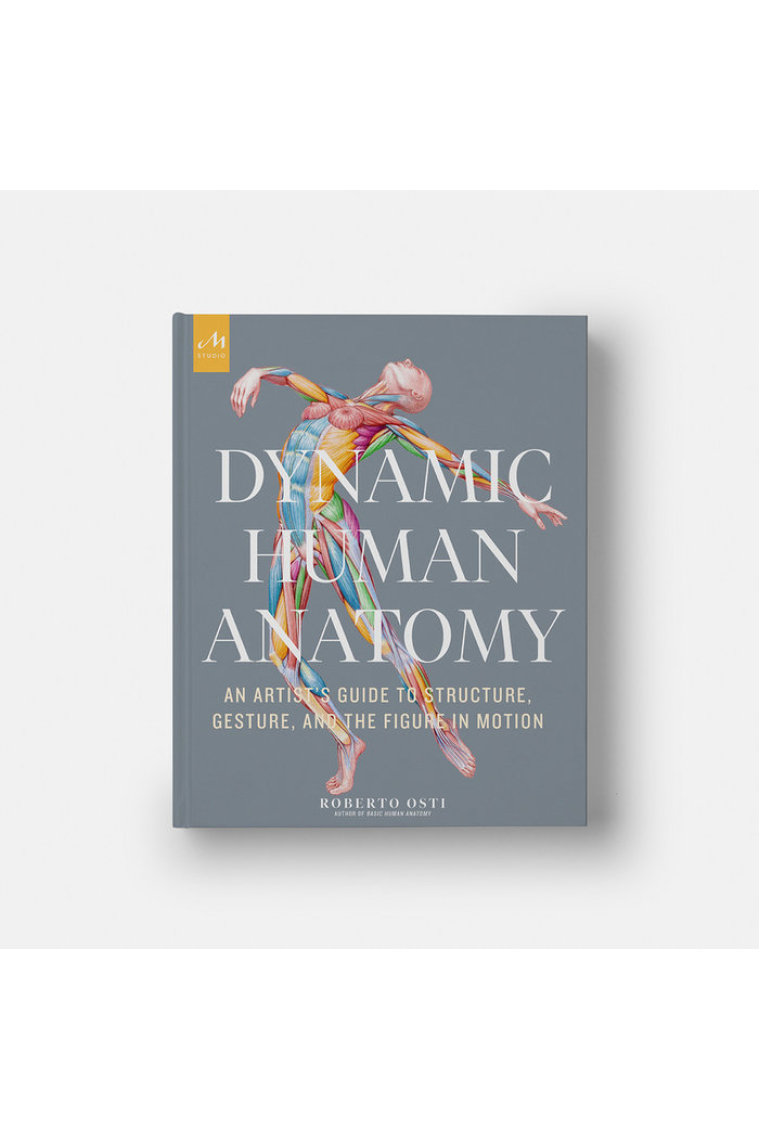 Dynamic Human Anatomy. An Artist's Guide to Structure, Gesture, and the Figure in Motion