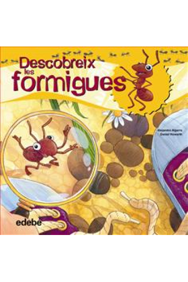 Descobreix les formigues