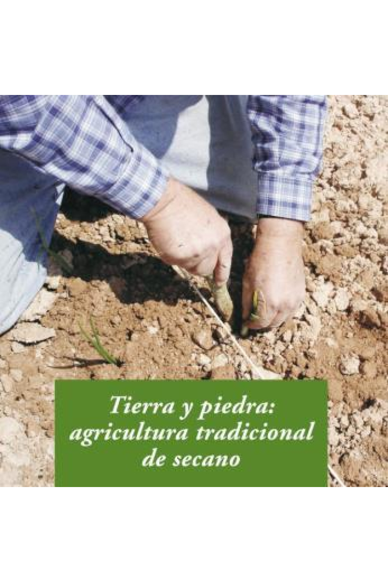 Tierra y piedra: agricultura tradicional de secano