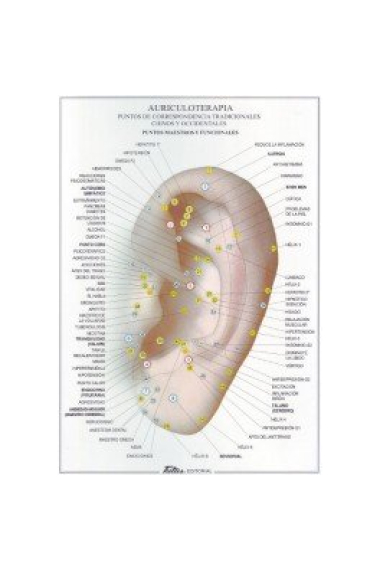 Auriculoterapia (Lámina)