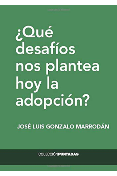 ¿Qué desafíos nos plantea hoy la adopción?