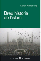 Breu història de l'islam