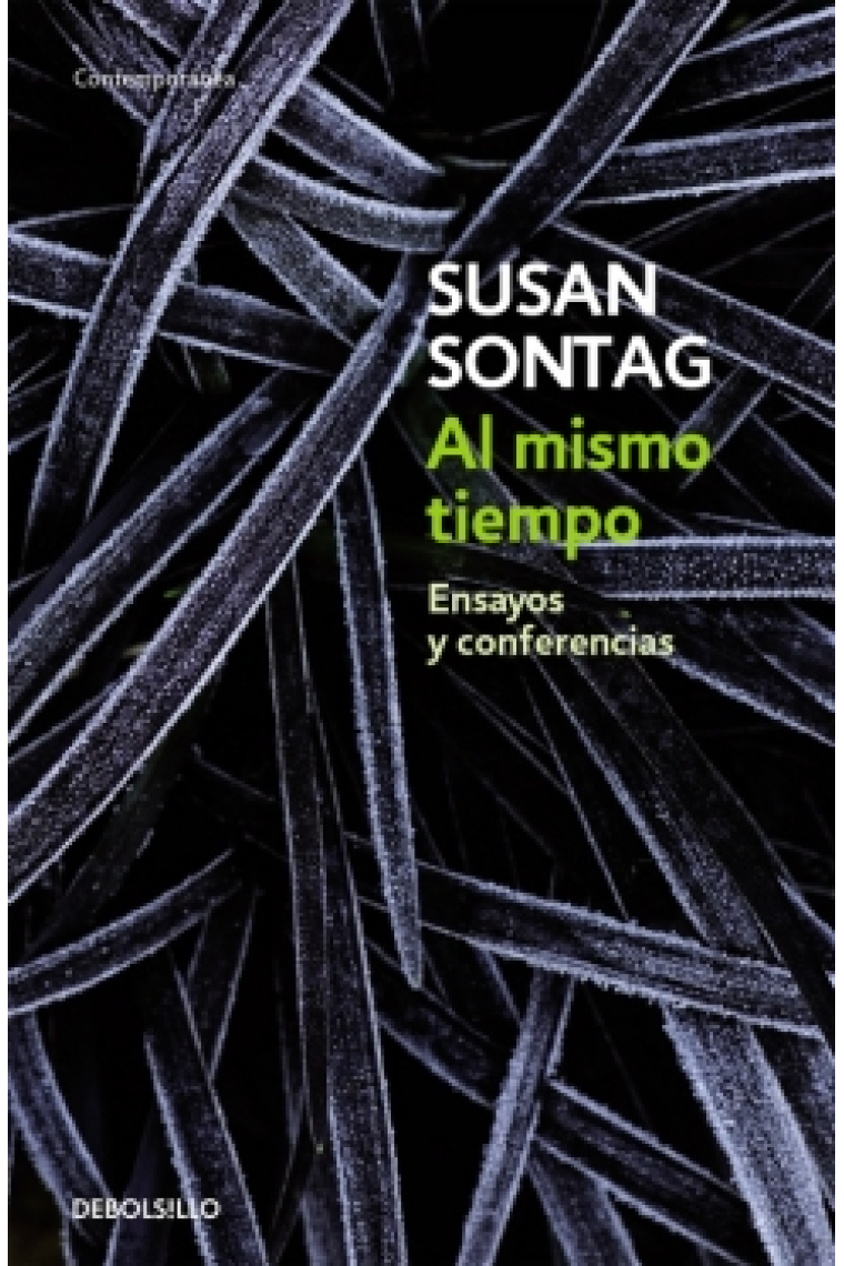 Al mismo tiempo (Ensayos y conferencias)