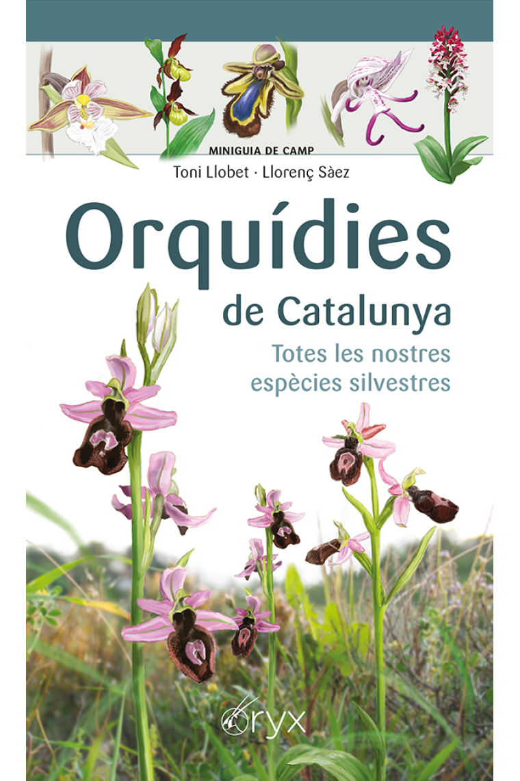 Orquídies de Catalunya. Totes les nostres espècies silvestres