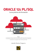 ORACLE 12c PL/SQL. Curso práctico de formación