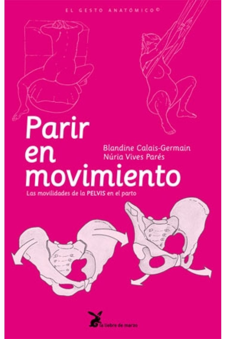 Parir en movimiento. Las movilidades de la pelvis en el parto