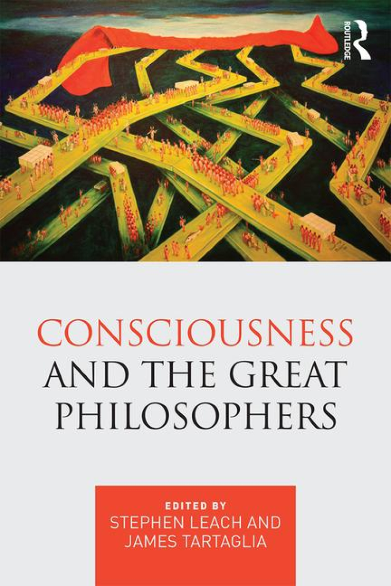 Consciousness and the great philosophers: what would they said about our mind-body problem?